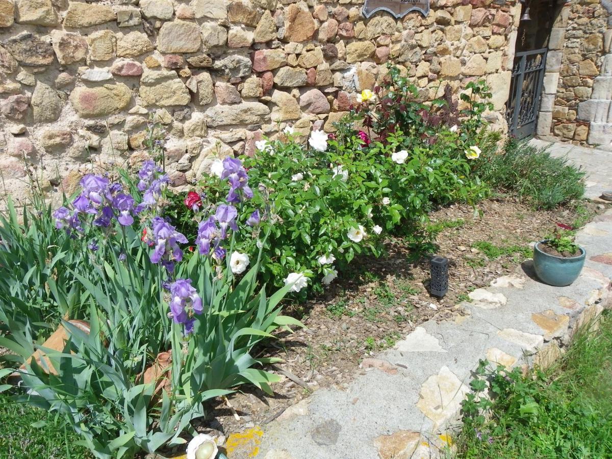 Beaumont  Le Donjon De La Reine Margot B&B 외부 사진